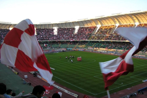 Determinazione e organizzazione di gioco: il Bari di Colantuono convince